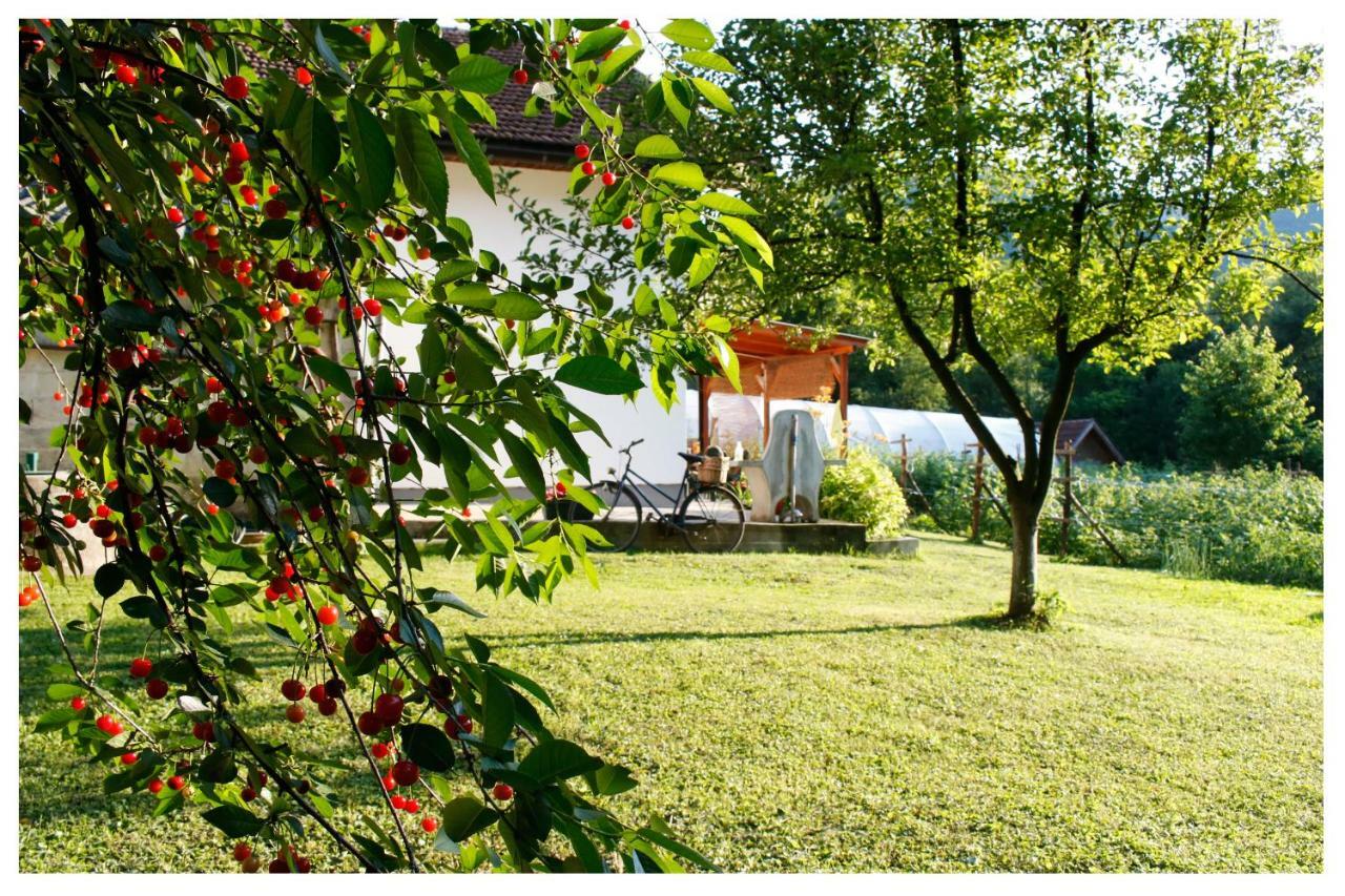 Holiday Residence Buric Visoko Exterior photo